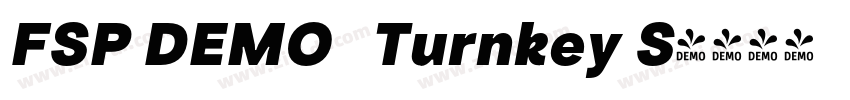 FSP DEMO   Turnkey S字体转换